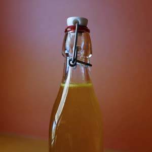 kombucha_tea-_probiotics_300x300
