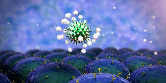 immune-system-boost-660x330