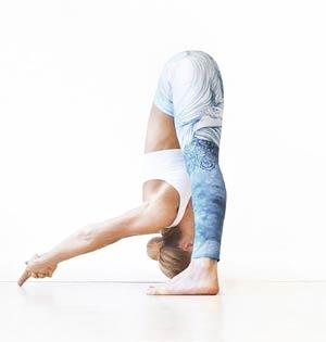 Prasarita_Padottanasana_300x315