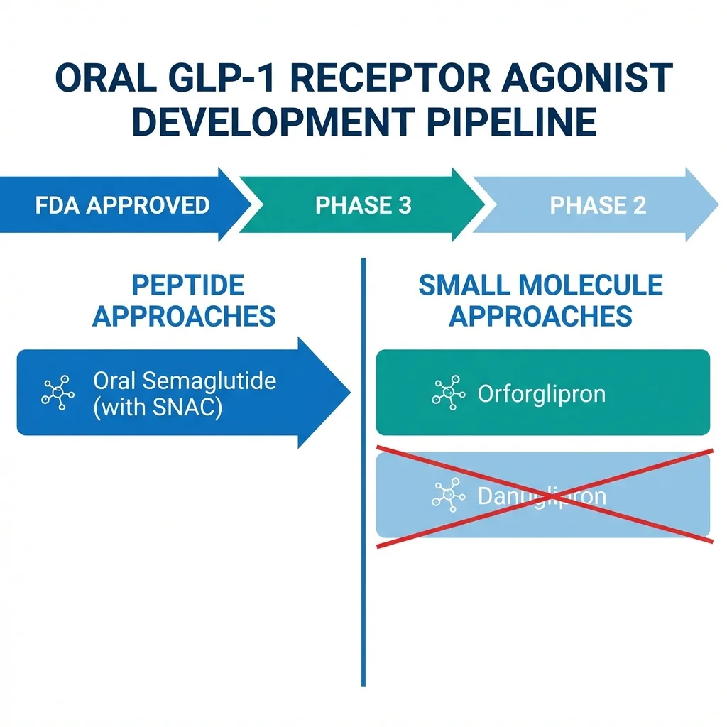 Comparison chart of oral GLP-1 receptor agonist development pipeline showing peptide versus small molecule approaches