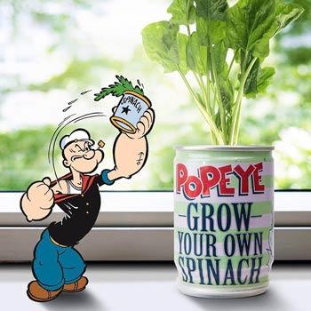popeye_spinach_350x350