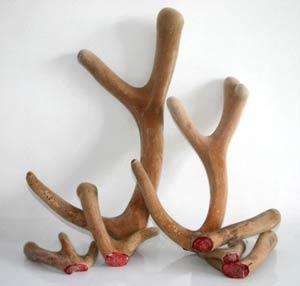 deer_velvet_antler_300x286