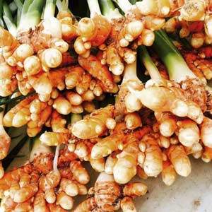 turmeric_health_benefits_300x300