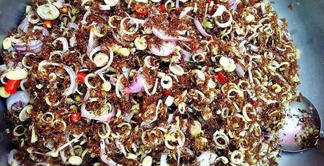 fried-red-ants-salad-640x328