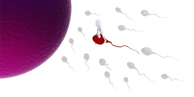 Sperm Race 660x330